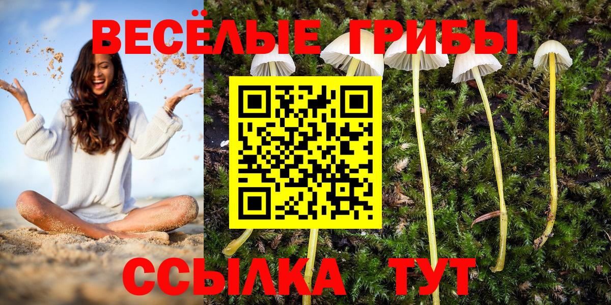 Нижнеудинск  Галлюциногенные грибы MAGIC MUSHROOMS  Галлюциногенные грибы MAGIC MUSHROOMS  Вход с VPN 