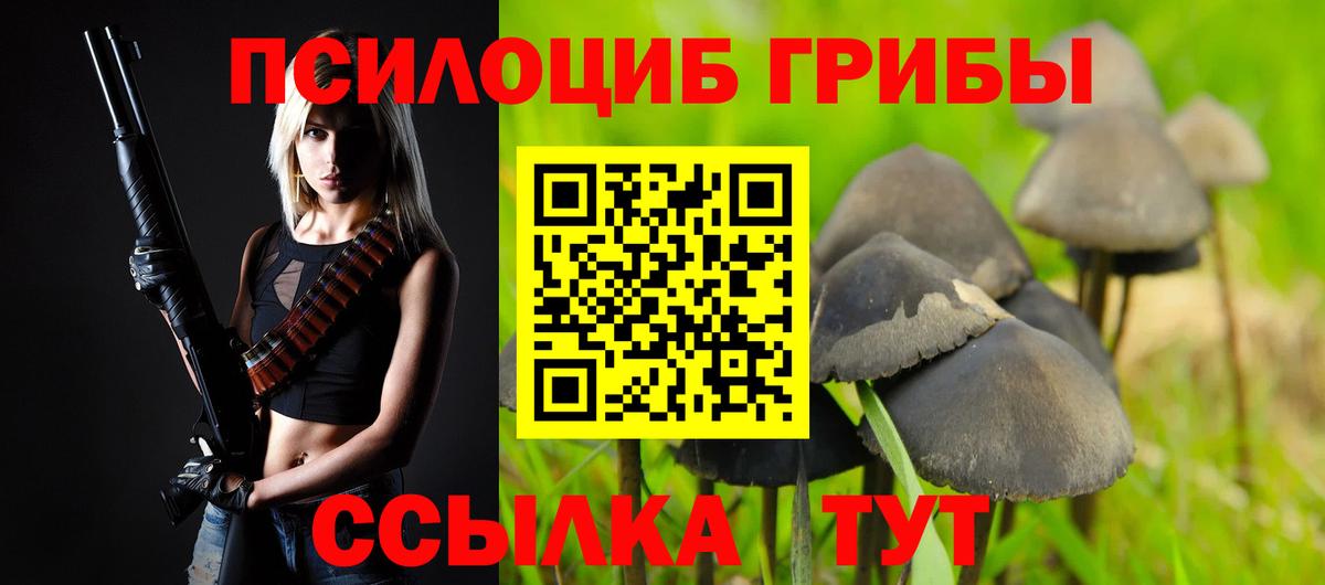 Галлюциногенные грибы мицелий Нижнеудинск